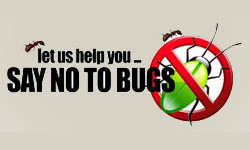 Say No