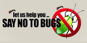 Say No To Bugs