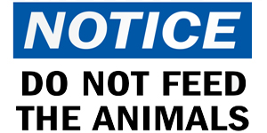 Wild Animals